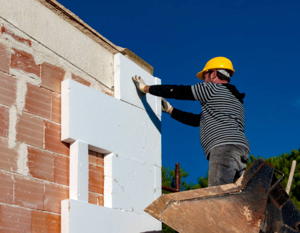 Best Specialty Insulation in Snowflake, AZ