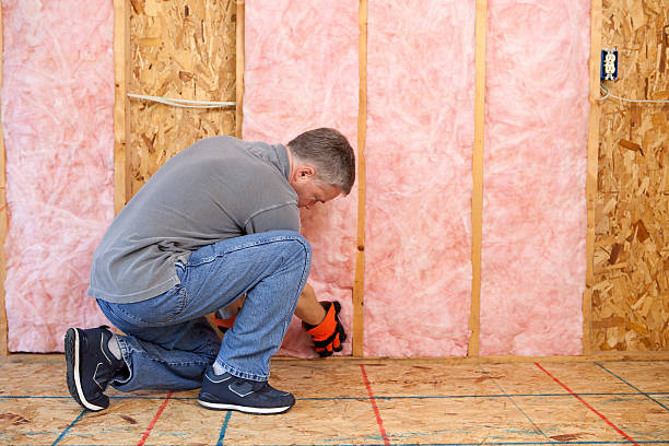 Best Insulation Installation Services in Snowflake, AZ