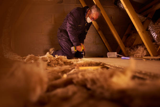 Best Insulation for Specific Applications in Snowflake, AZ